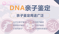 福州个人亲子鉴定采集哪些样本