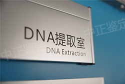 福州户籍亲子鉴定咨询预约