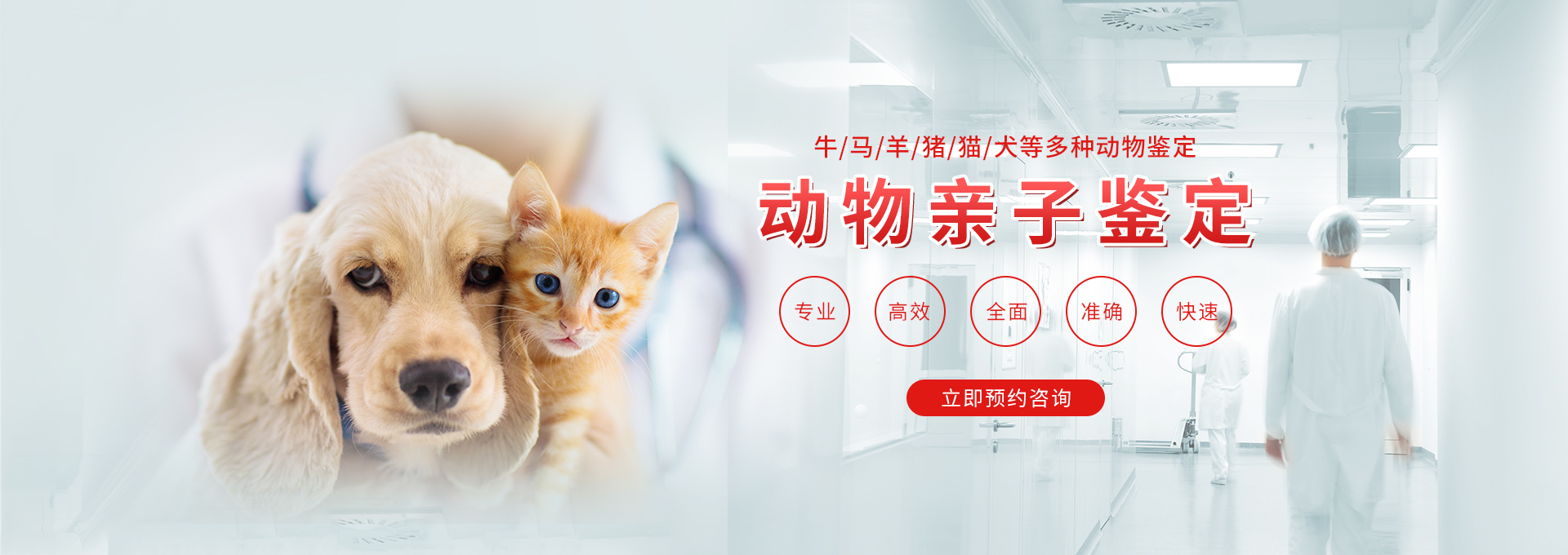 福州动物鉴定